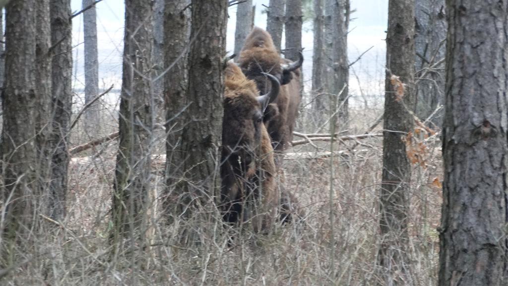 Domek Kutowa Poza Strefa Stanu Wyjatkowego Villa Eksteriør bilde